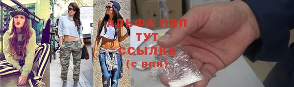 стаф Россошь