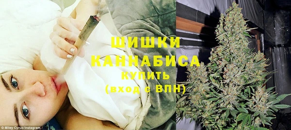 стаф Россошь