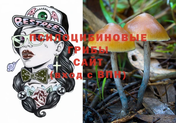 стаф Россошь